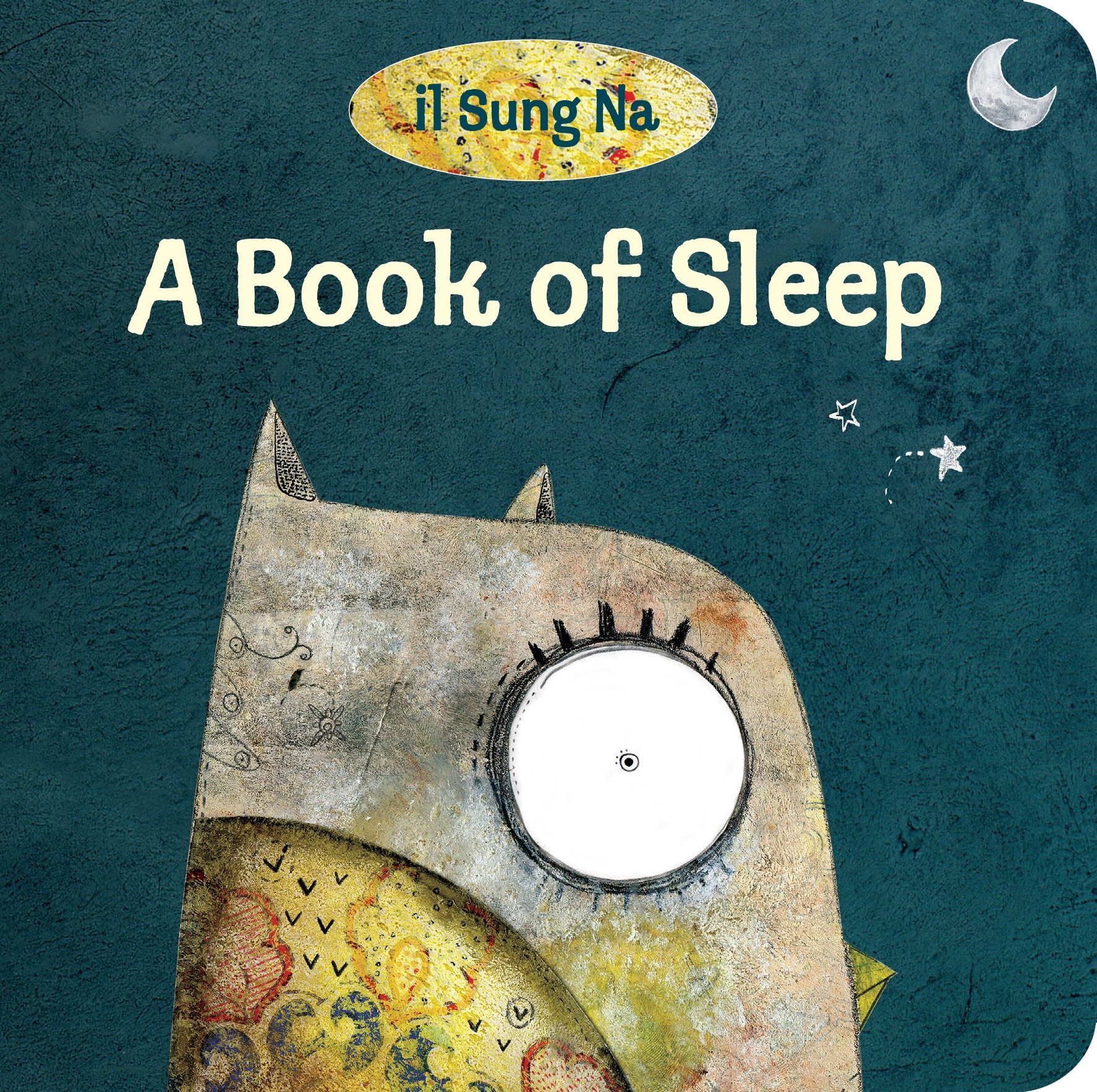 A Book of Sleep Book Cover